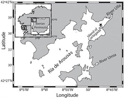 Advancing real-time pH sensing capabilities to monitor coastal acidification as measured in a productive and dynamic estuary (Ría de Arousa, NW Spain)